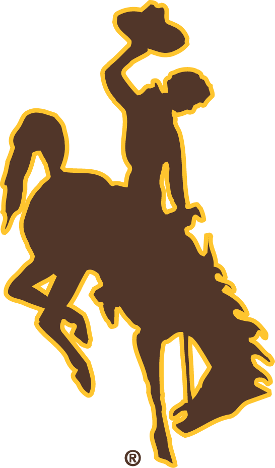 Wyoming Cowboys 2006-Pres Primary Logo diy iron on heat transfer...